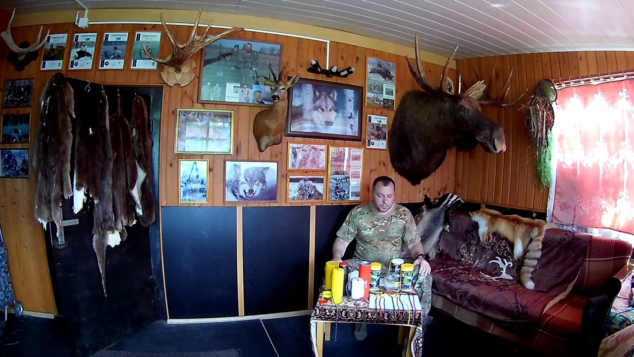 Манок на самца лося