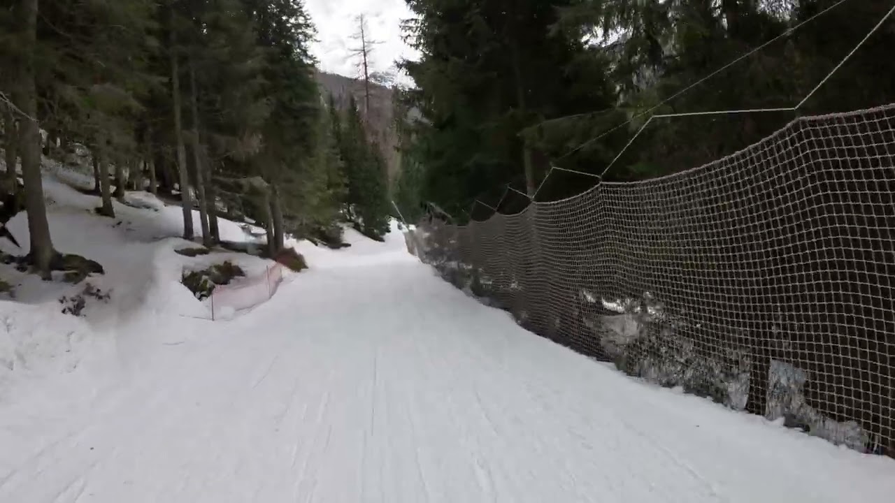 San Martino di Castrozza ...from up till down 02.2025