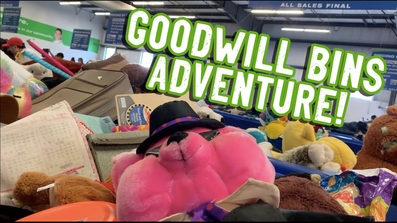Экономьте в GOODWILL BINS! И ещё в 7 комиссионных магазинах! Экономьте вместе с нами!