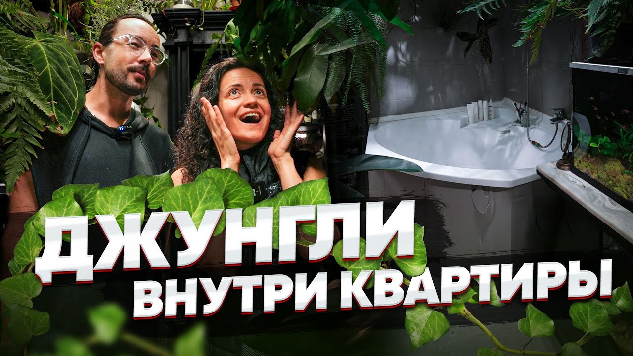 400 РАСТЕНИЙ в квартире 48 кв.м. | Обзор самой НЕОБЫЧНОЙ квартиры в России | Розыгрыш подушки