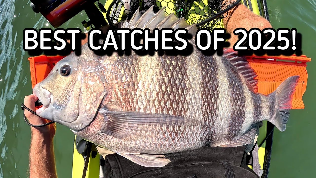 Best Catches of 2025 - Kayak Fishing Virginia Beach for MONSTER Fish