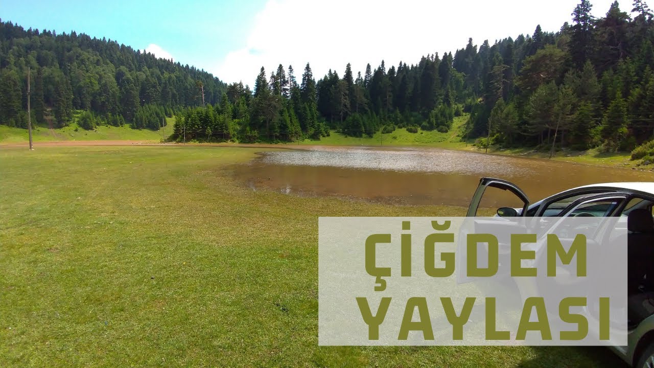 Çiğdem Yaylası - #Hendek - #Sakarya 2021-08