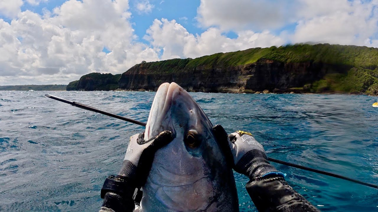 GIANT Amberjacks on a REMOTE Shore Dive (Ciguatera??) | Puerto Rico Spearfishing