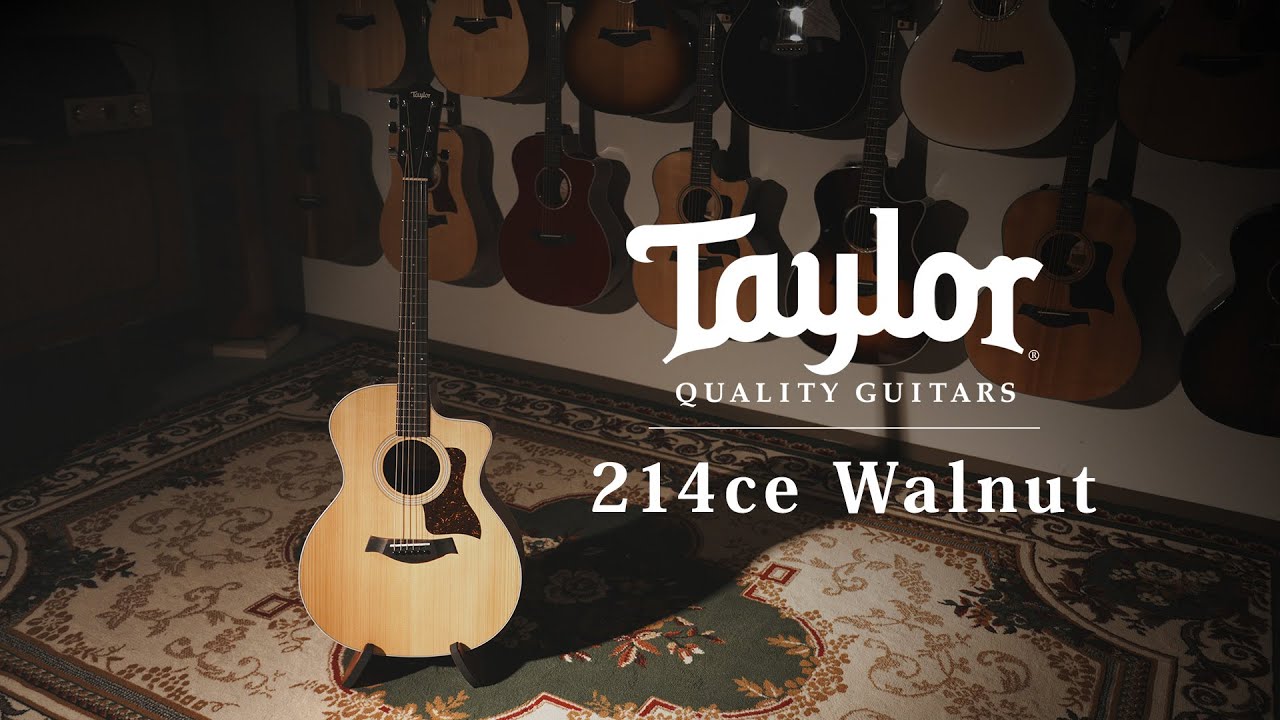 Taylor 214ce Walnut / MION introduction
