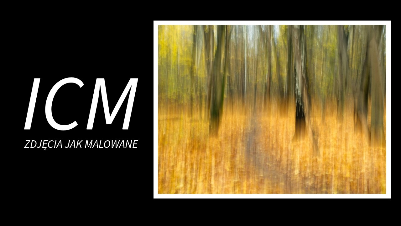 ICM - Intentional Camera Movement - czyli zdjęcia które wyglądają jak impresjonistyczne obrazy