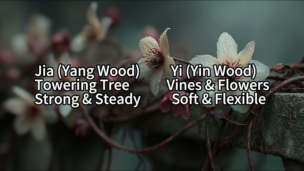 EP02: The 10 Heavenly Stems Explained | BaZi Five Elements Guide