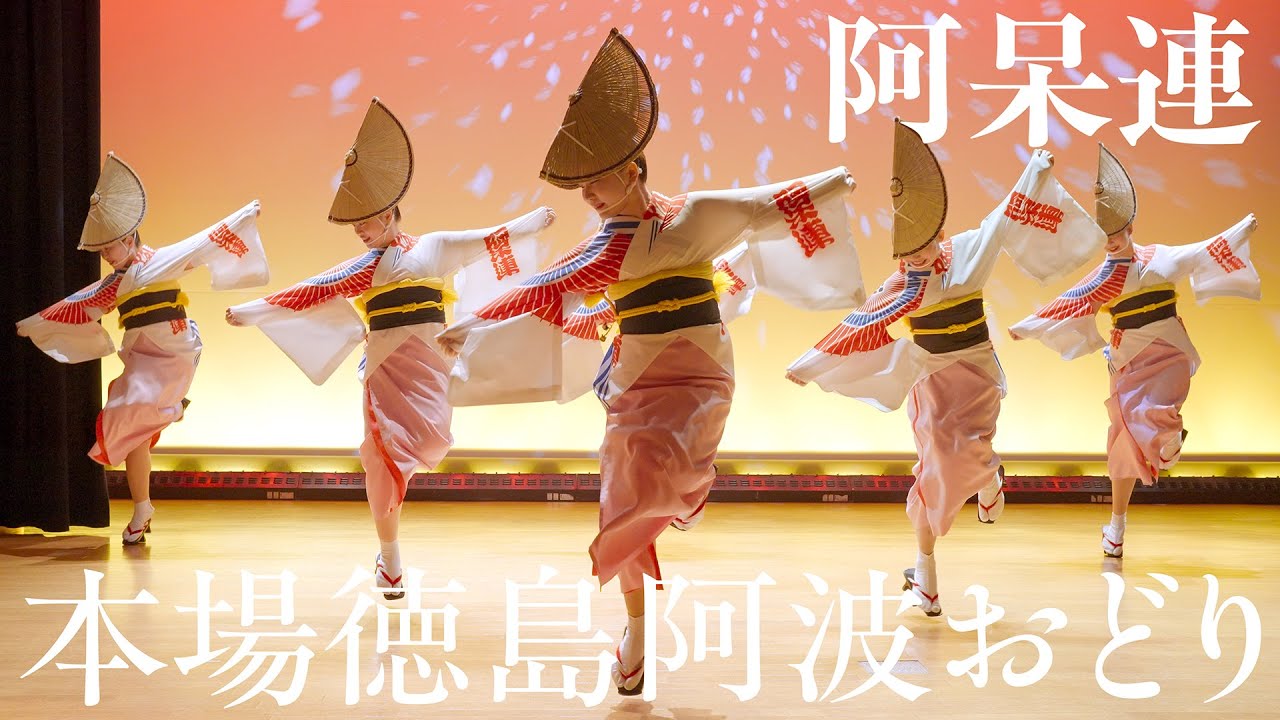 【阿波踊り】みんな大好き阿呆連の阿波おどり | Awaodori in Tokushima Japan