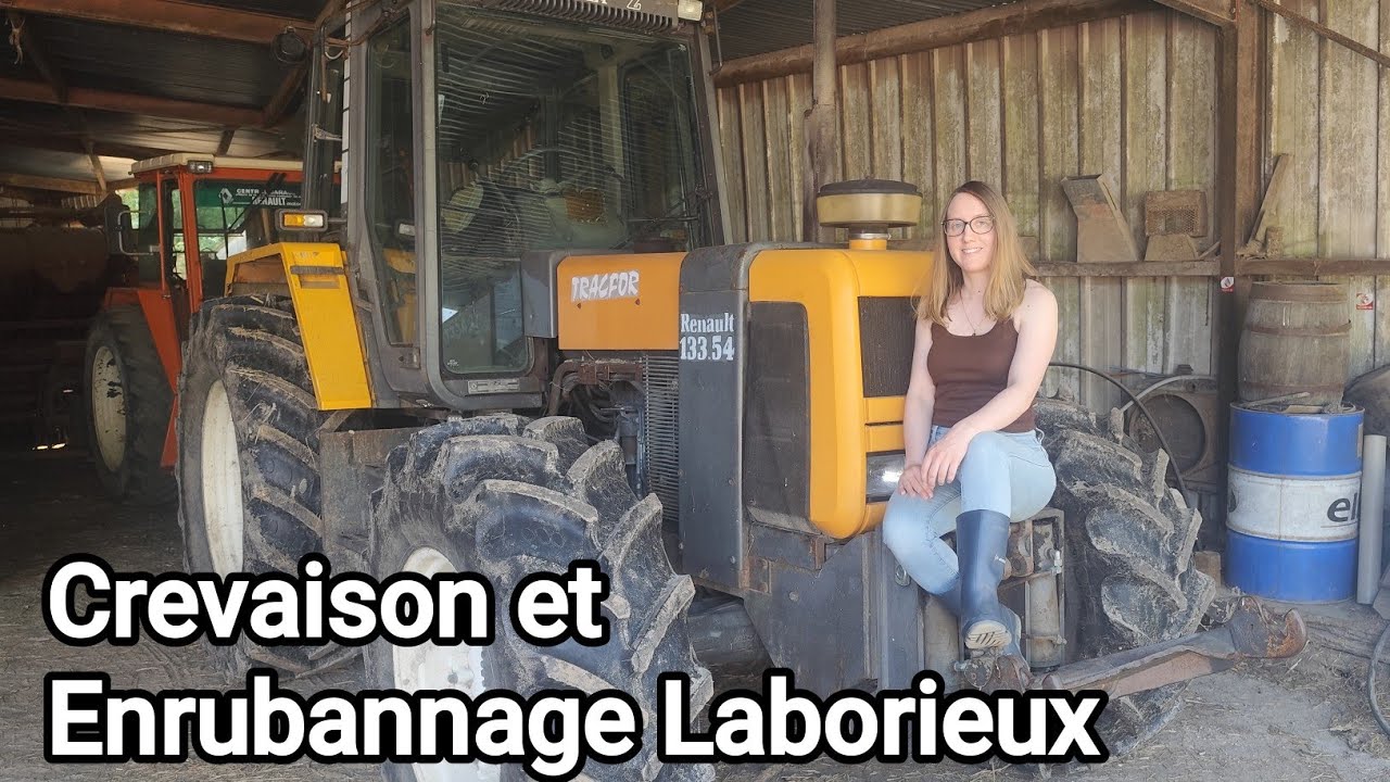Enrubannage du Méteil avec des tracteurs Renault Manquement de 1000 poussins 🙄