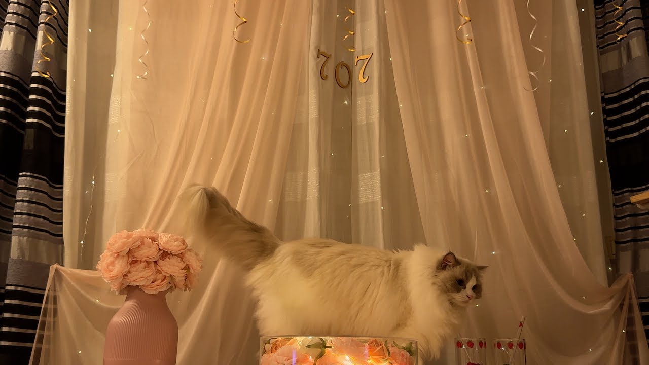 Aesthetic birthday vlog 🎂 | cozy solo celebration