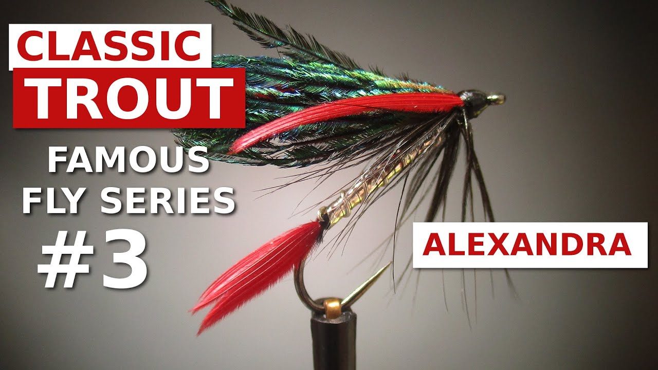 Alexandra Wet Fly - Trout Fly Tying for Beginners