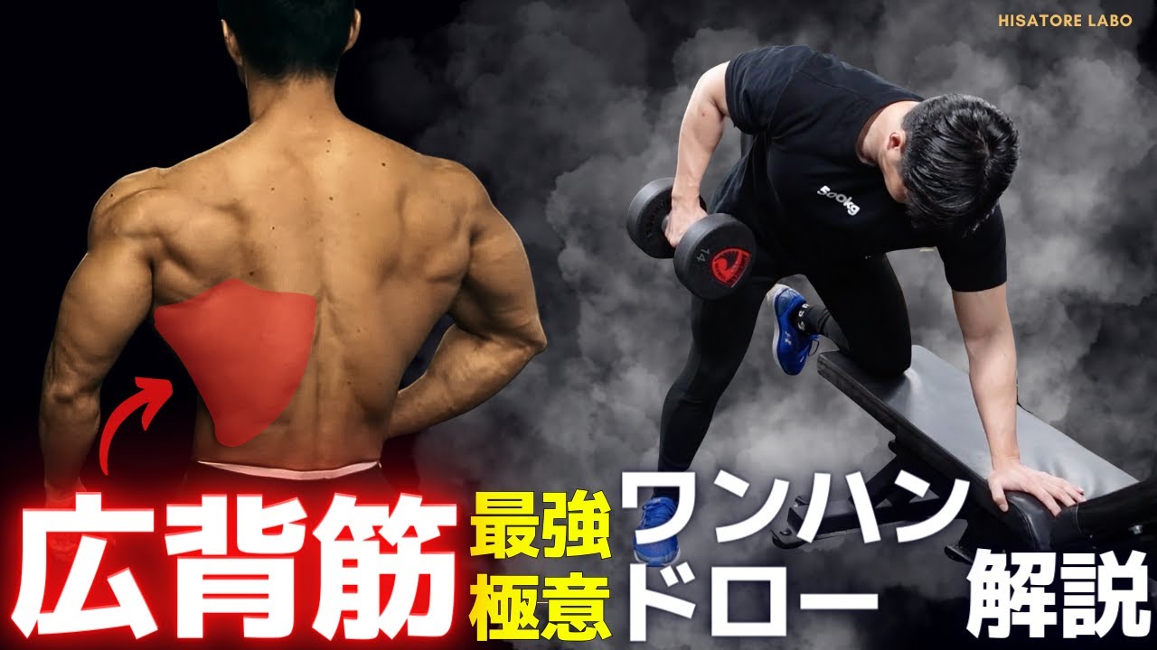 迫る背中の本質！ワンハンドロー極意解説