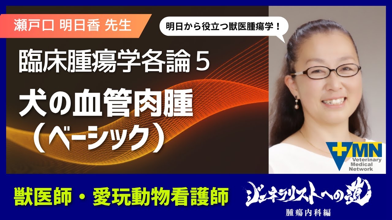 ジェネラリストへの道　実践！臨床総合セミナー瀬戸口 明日香先生の「臨床腫瘍学の基礎からちょっと応用まで」 トピック 8 臨床腫瘍学各論5 犬の血管肉腫（ベーシック）