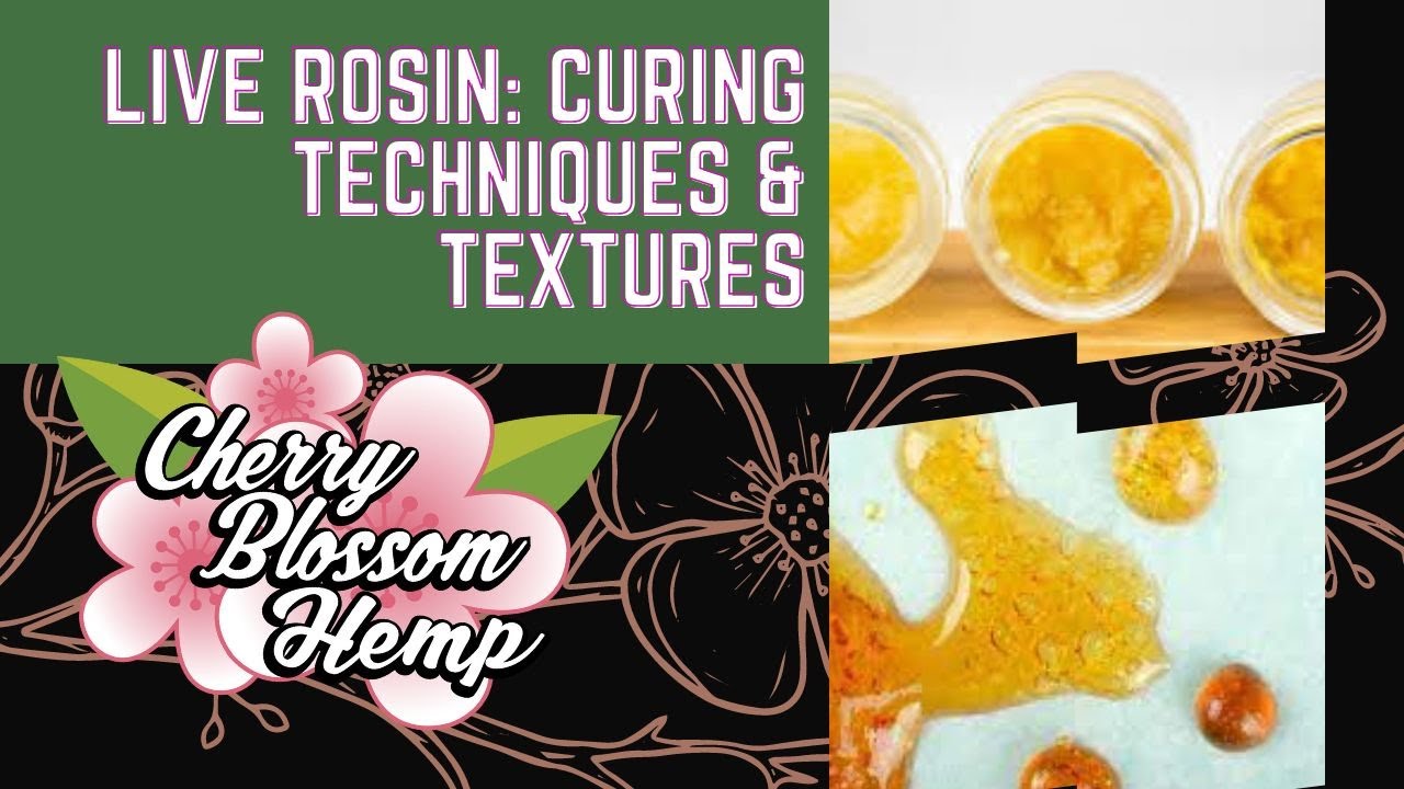Live Rosin: Curing Techniques & Textures