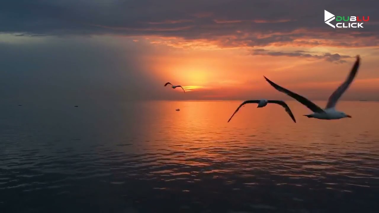 DUBLU CLICK și Sergiu Mitrofan ( byron ) - MAREA S-A OPRIT