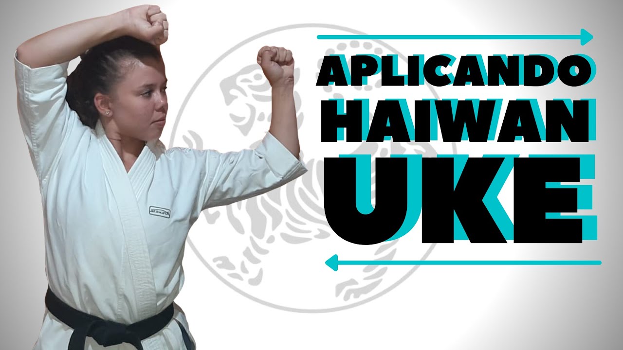 Aplicações - Aplicando o Haiwan Uke - Karate Shotokan