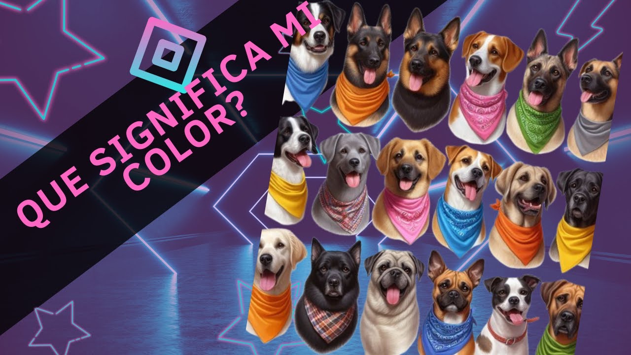 🐕Pañuelos o bandanas de colores para PERROS:  🦮  MODA o tienen un significado