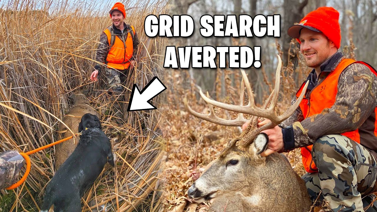 BIG BUCK RECOVERY!!! - Deer Tracking With A Dog - The Callie Chronicles