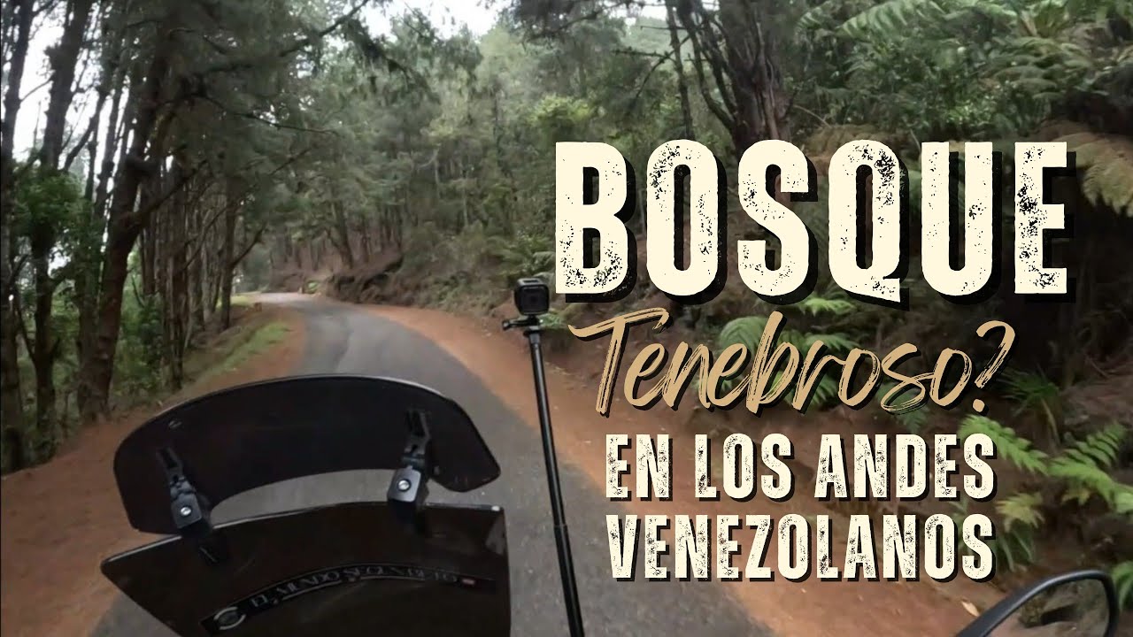 La Ruta Verde Más IMPRESIONANTE de Los Andes Venezolanos