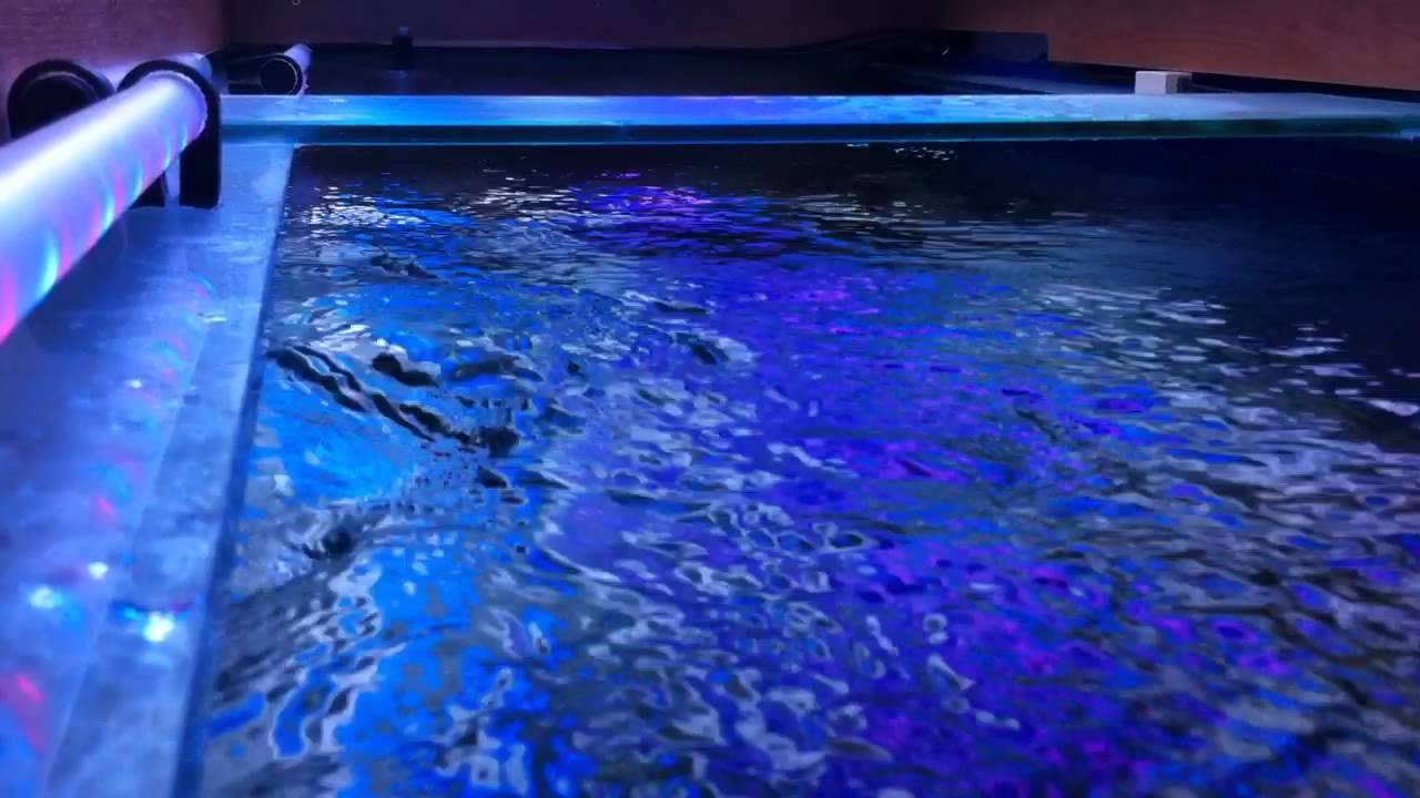 Vortech MP60 Marine Tank UK