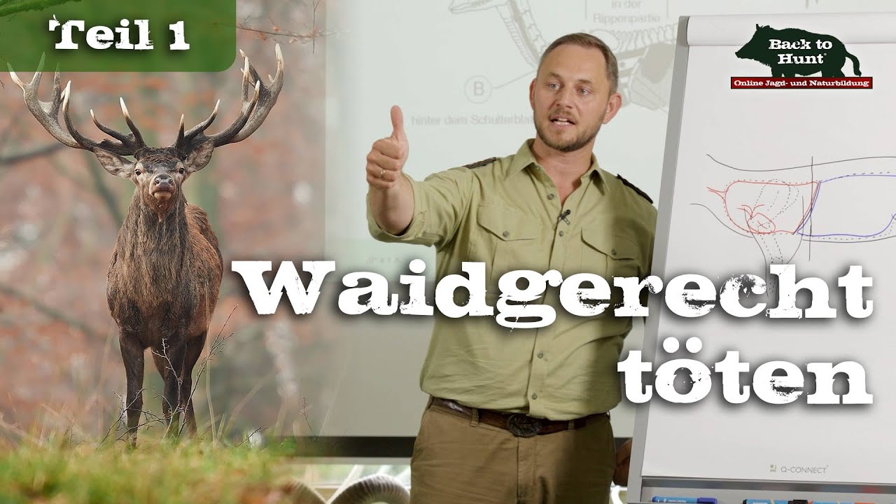 Waidgerechtes Töten | Teil 1