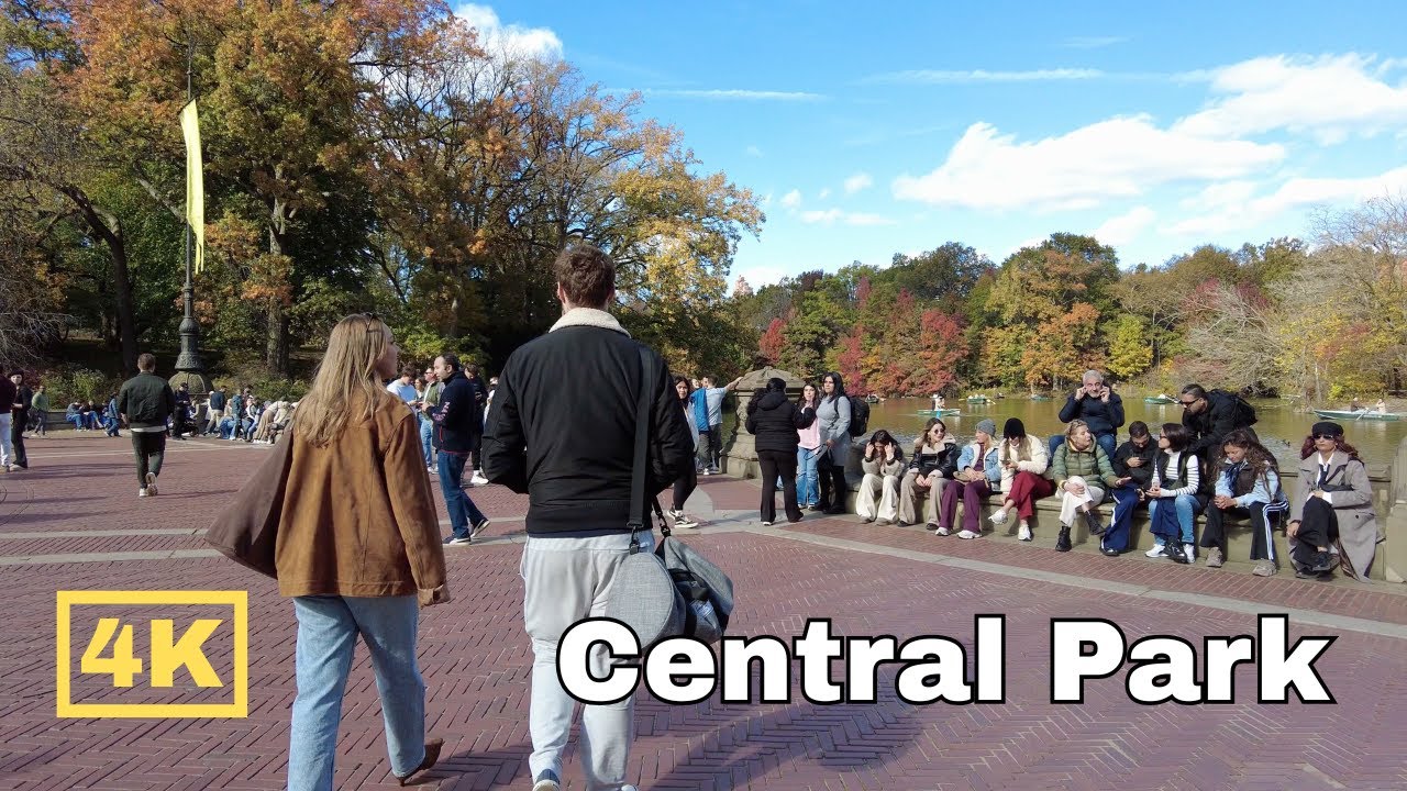 Walk Central Park, NYC (Changing Leaves, November 2025)  - 4K New York City Walking Tour