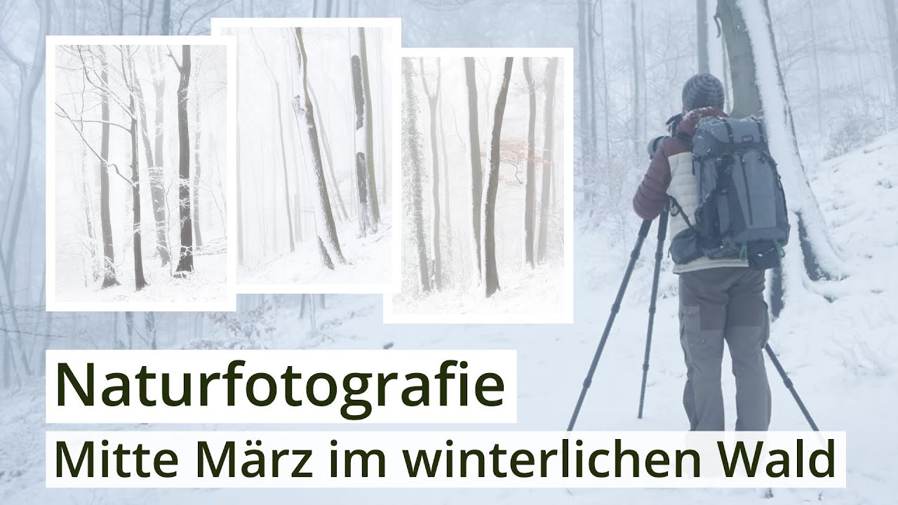 Naturfotografie: WINTER statt Frühling | Ein verschneiter Mitte-März-Morgen im WALD