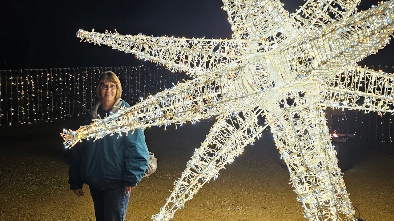 Garden of lights