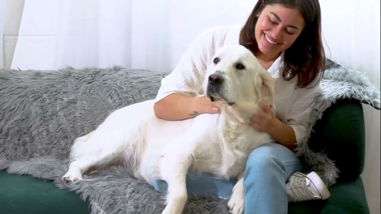 Paw Brands PupProtector 60