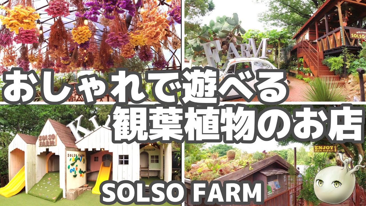 【まるで植物テーマパーク】おしゃれで楽しい観葉植物のお店SOLSO FARM【初心者にもおすすめ】