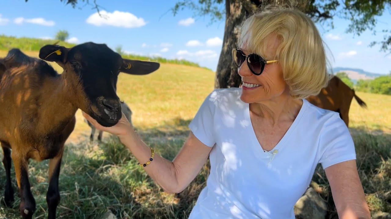 Откройте для себя кулинарные сокровища Лиона и узнайте, почему Божоле — один из любимых регионов ...