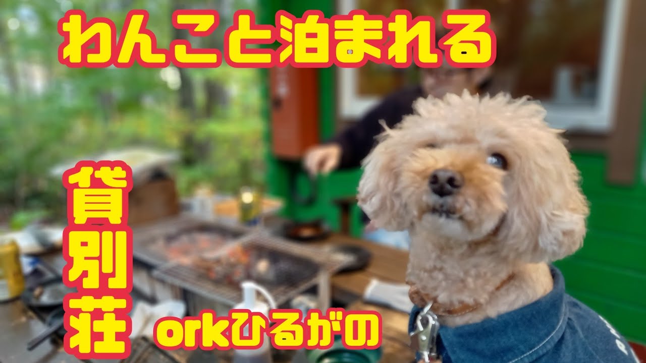 【岐阜旅行】貸別荘orkひるがのに行ってきました(⁠*⁠˘⁠︶⁠˘⁠*⁠)⁠.⁠｡⁠*⁠♡