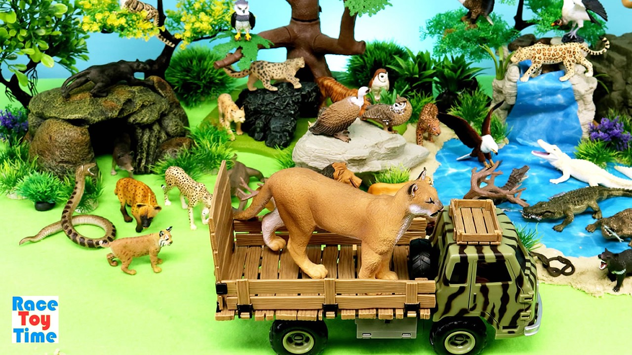 Carnivorous Animals - Learn Animal Names