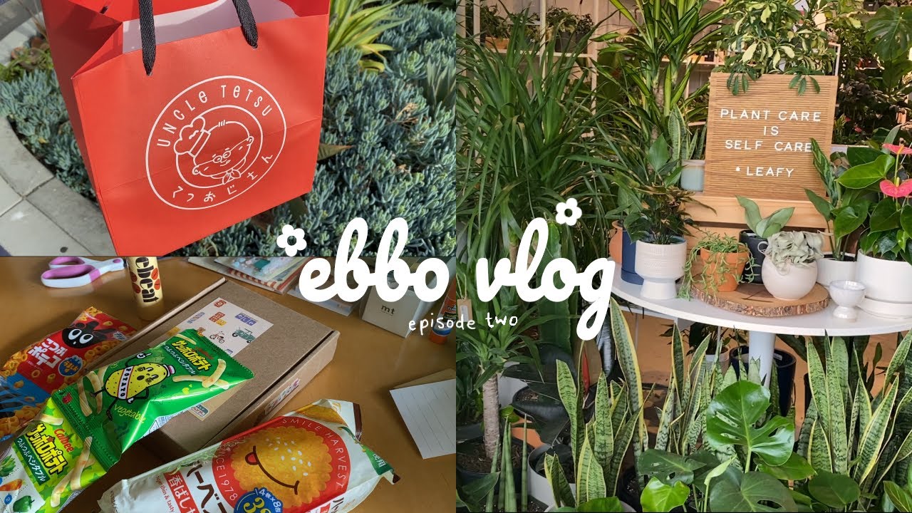 buying plants 🌱, making a penpal package, ☀️ visiting the beach - june vlog