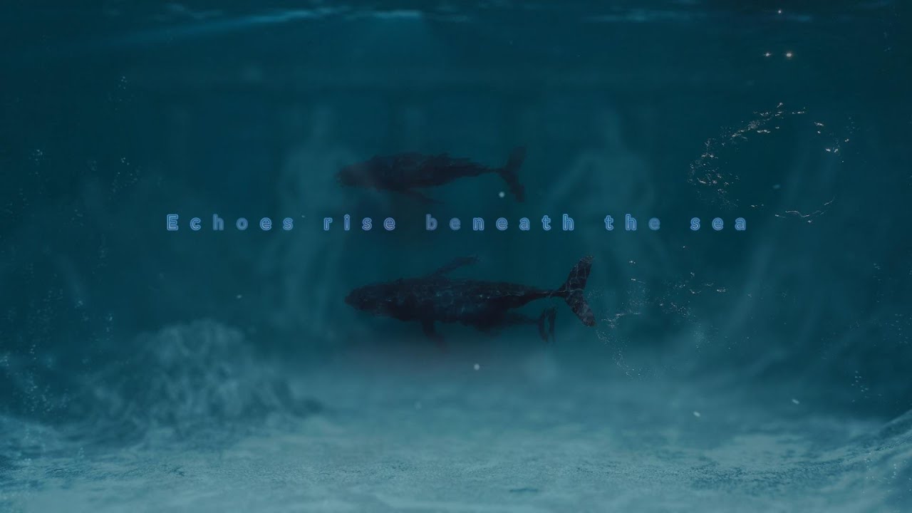 Echoes rise beneath the sea