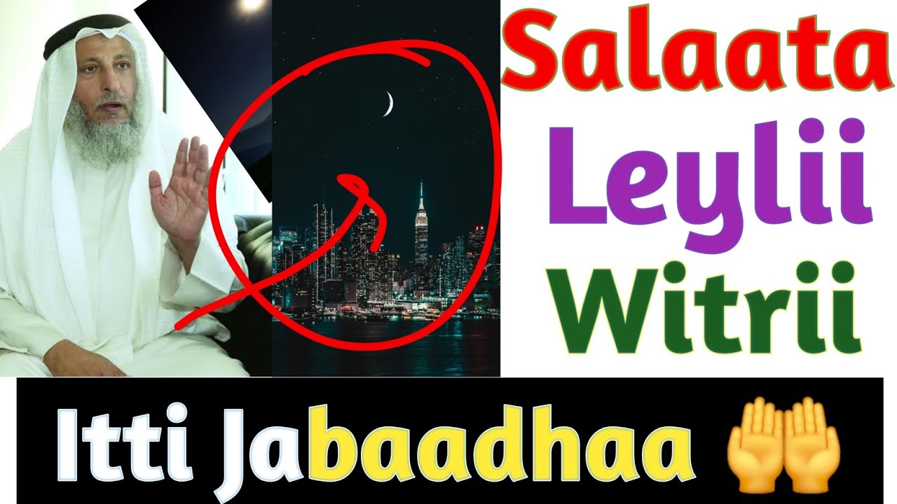 Salaata Leylii | Salaata Witrii | Salaata Halkanii | Salaata Sunnaa | Barnoota Salaataa | Kutaa 12