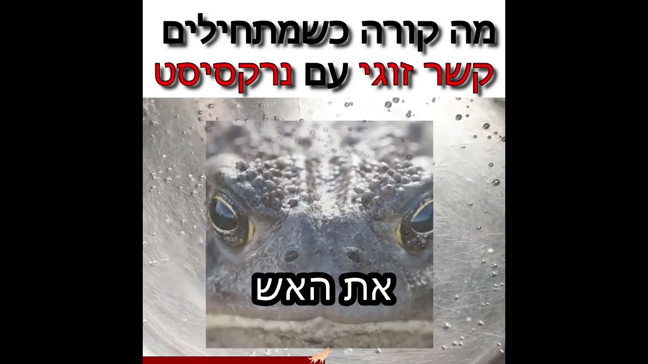 אסף אלון | מה קורה כשמתחילים קשר זוגי עם נרקסיסט?