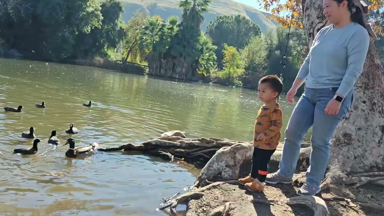【VLOG】Дом Пикока в Мемориальном парке Харта в Бейкерсфилде