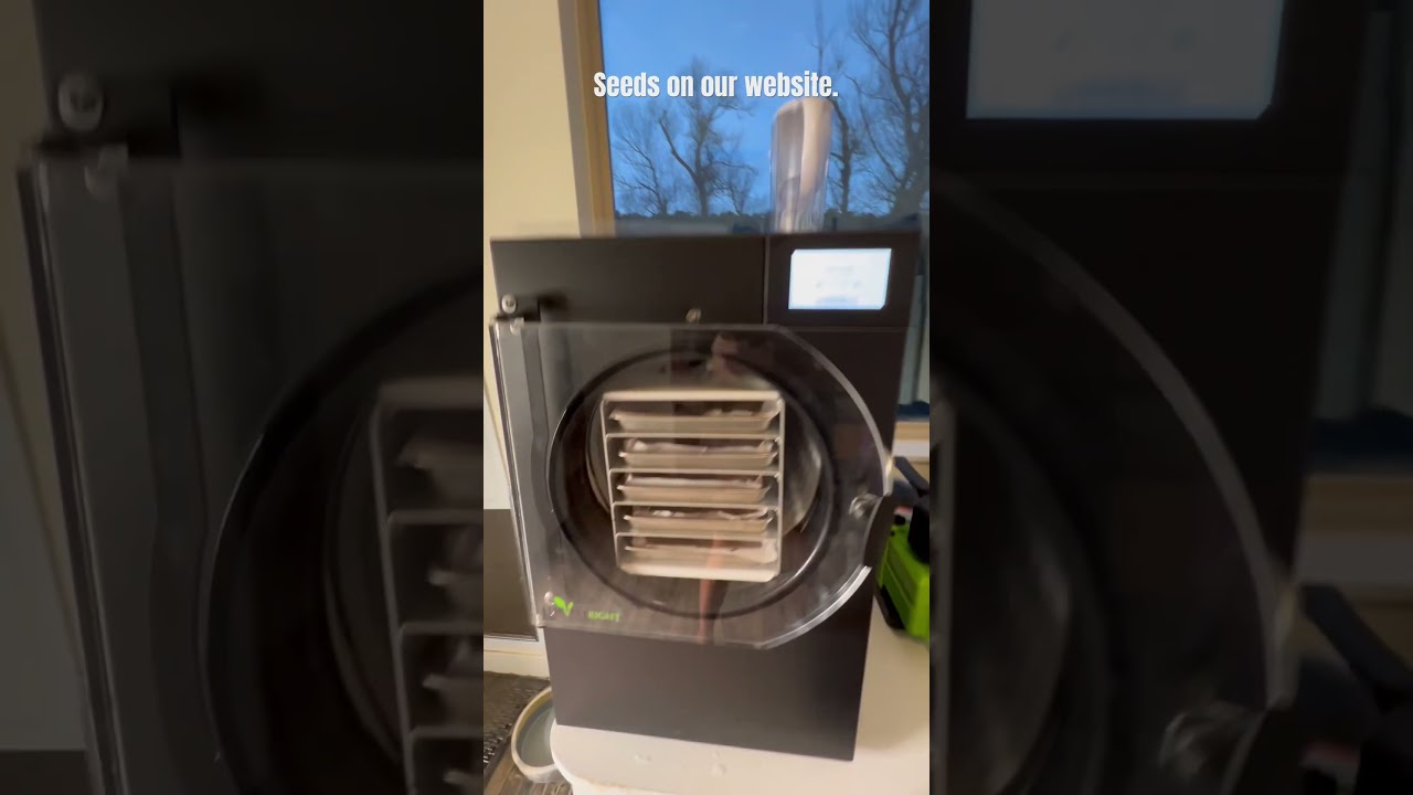 Using the Harvest Right freeze dryer. #hash#bubblehash#freezedry#ganja