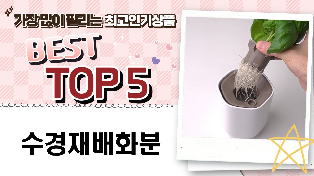 수경재배 화분 활용법: 플랜테리어, 어항, 테라리움까지!