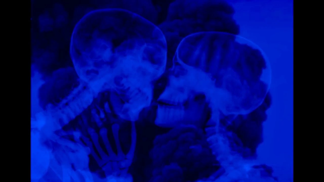 madonna - erotica - slowed + reverb