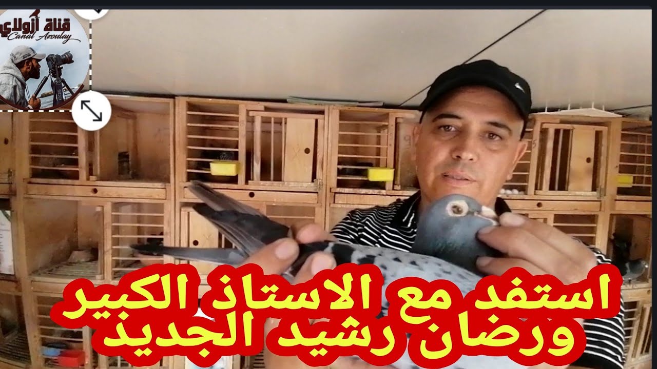 استفد مع الاستاذ الكبير ورضان رشيد