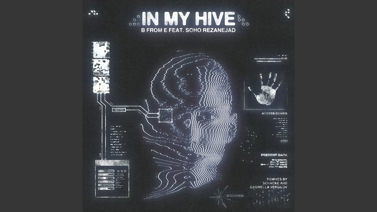 In My Hive (Instrumental Mix)