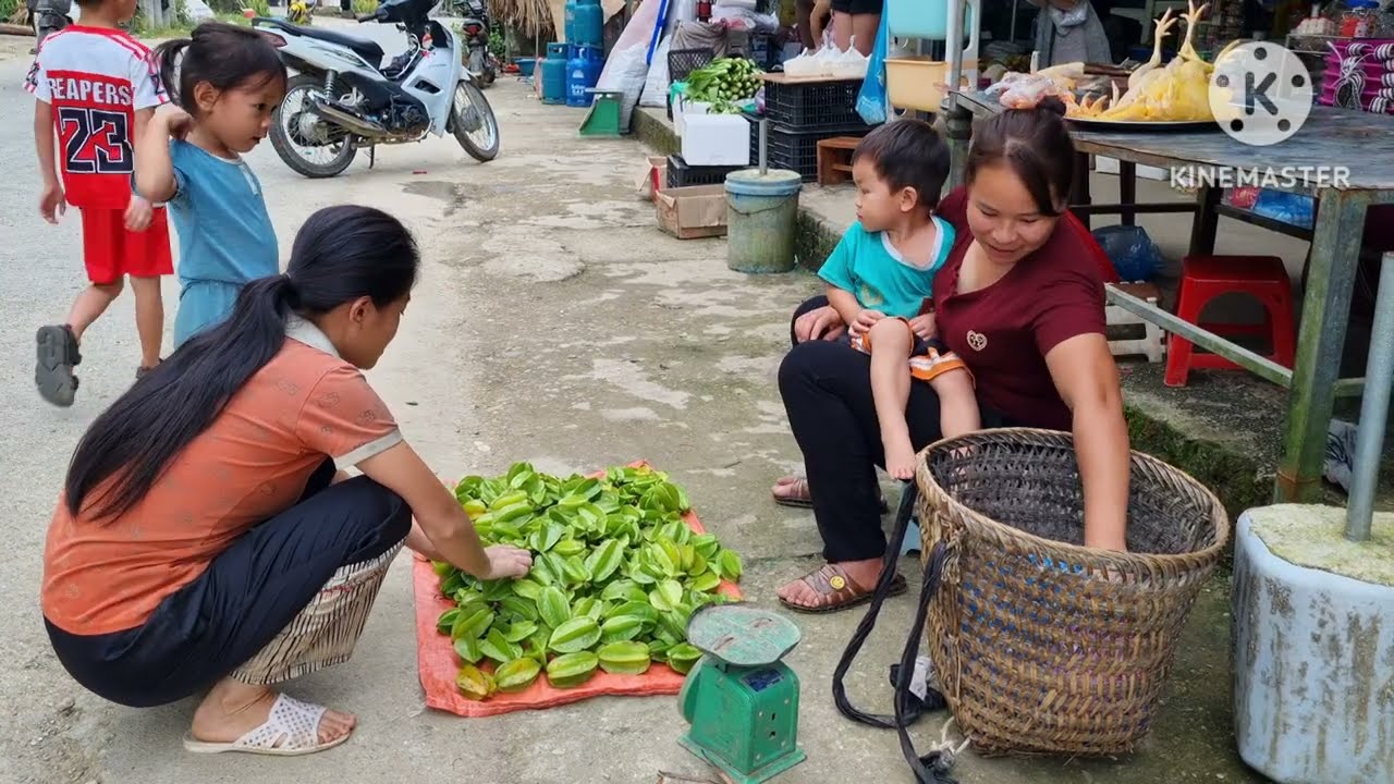 Harvesting natural fruits for sale - Cleaning up the farm | Building a new life