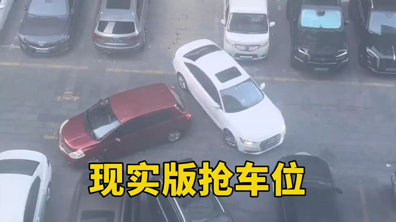 現實版搶車位！剁椒魚頭橫掃全場，老司機都不敢爭鋒！