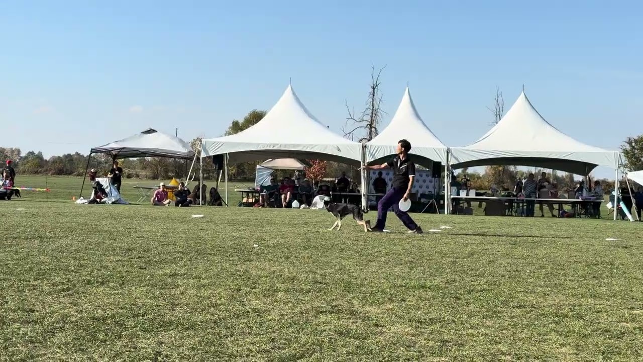 Kosuke Hirai and Yattar 3rd place USDDN disc dog freestyle world finals Ottawa 2025