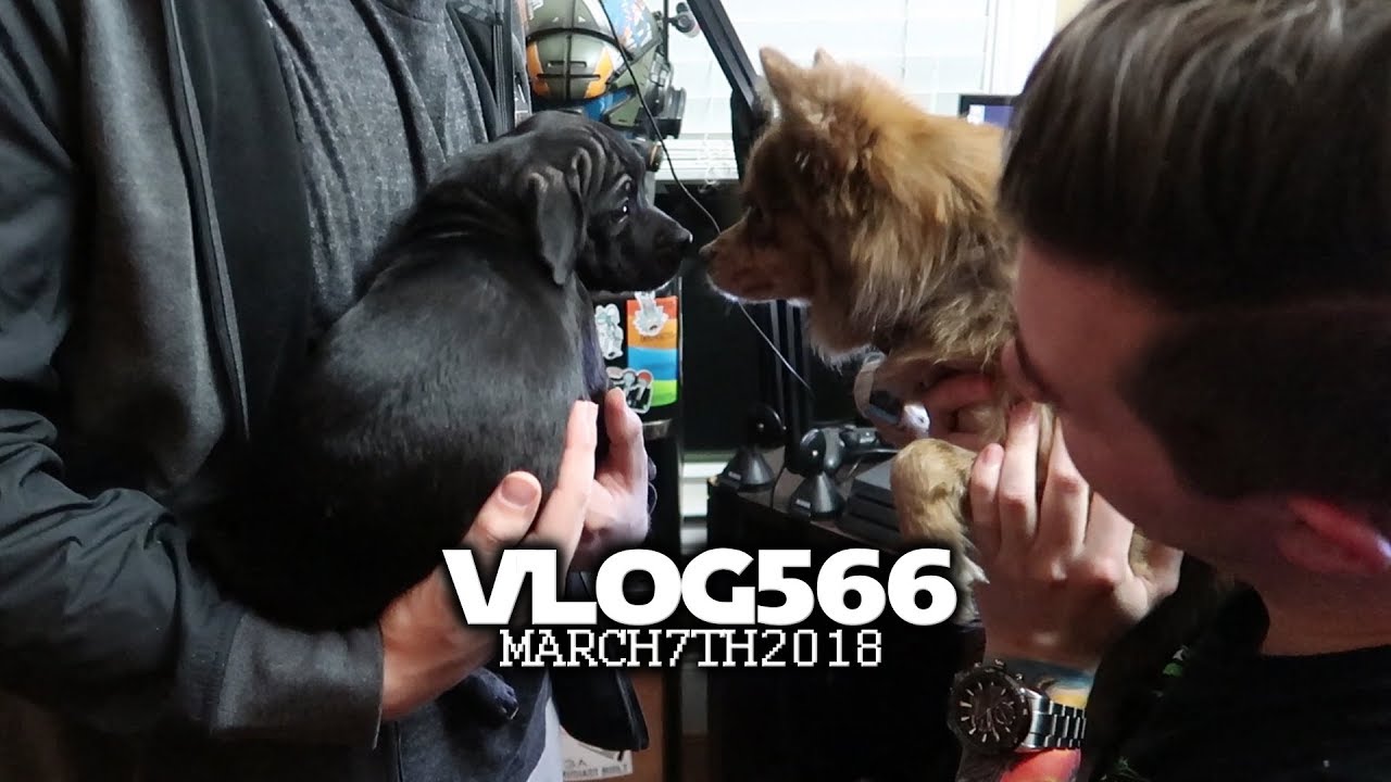 THAT'S MY BEST FRIEND