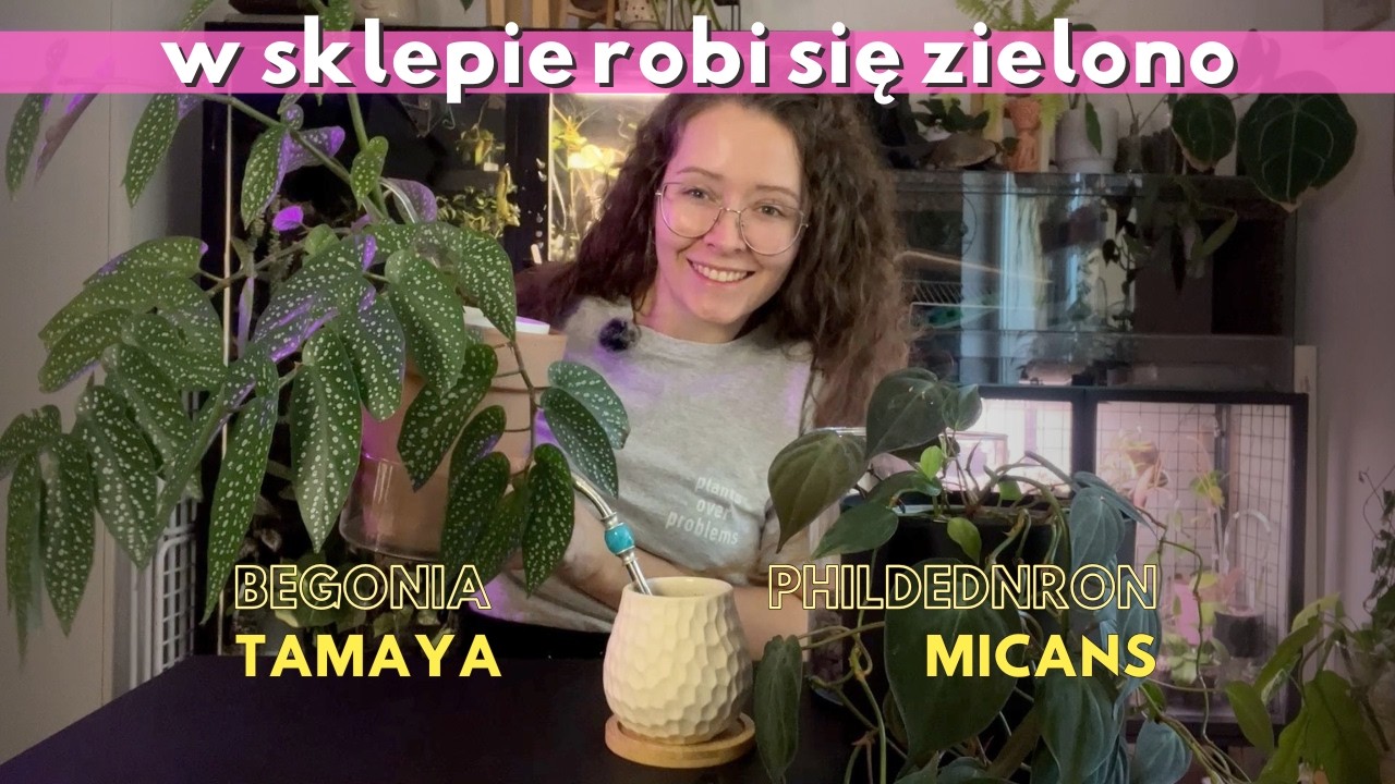 vlog roślinny | przesadzam rośliny do sklepu | rajskierosliny.pl