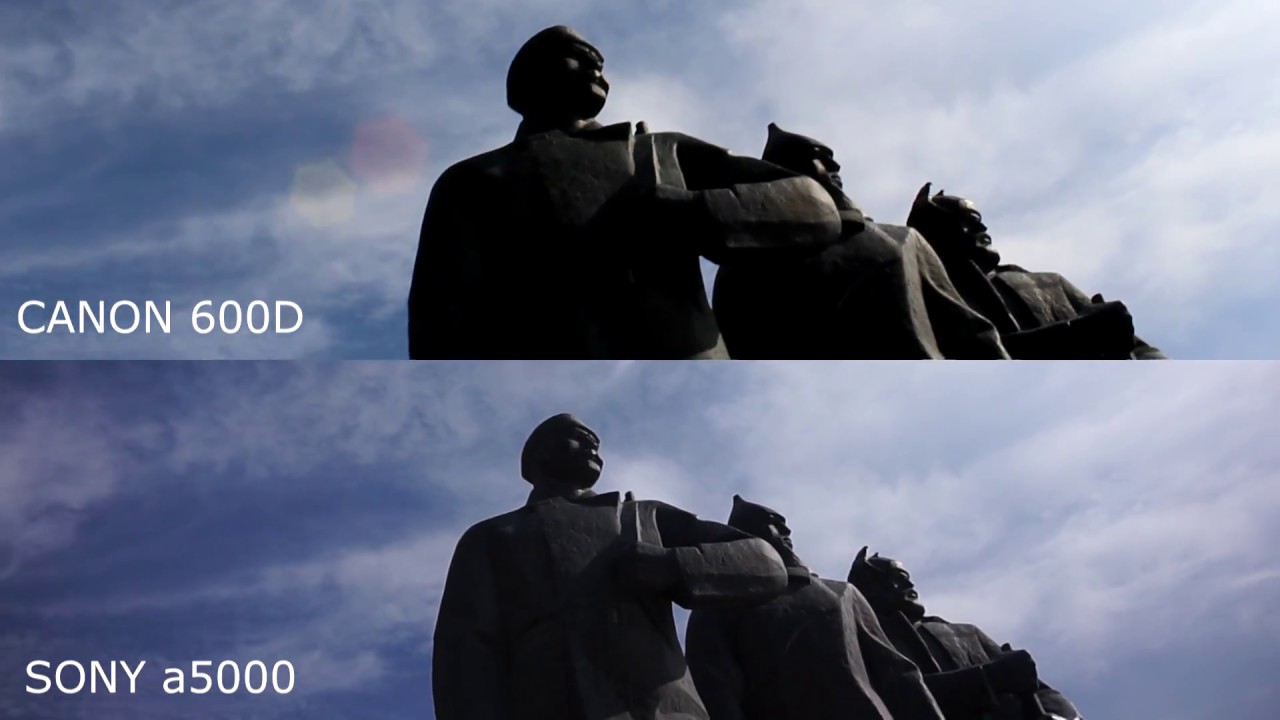 CANON 600D VS SONY a5000