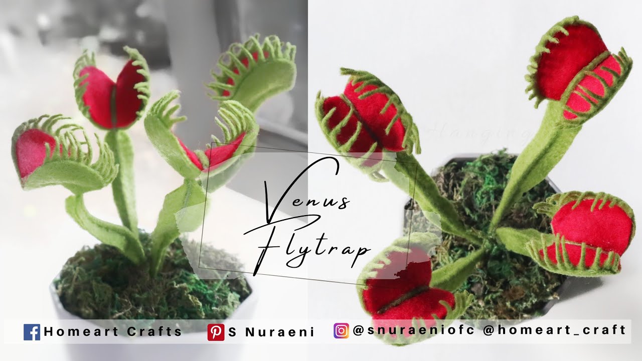 #DIY Venus Flytrap From Felt Fabric - Carnivorous Plant Making - S Nuraeni