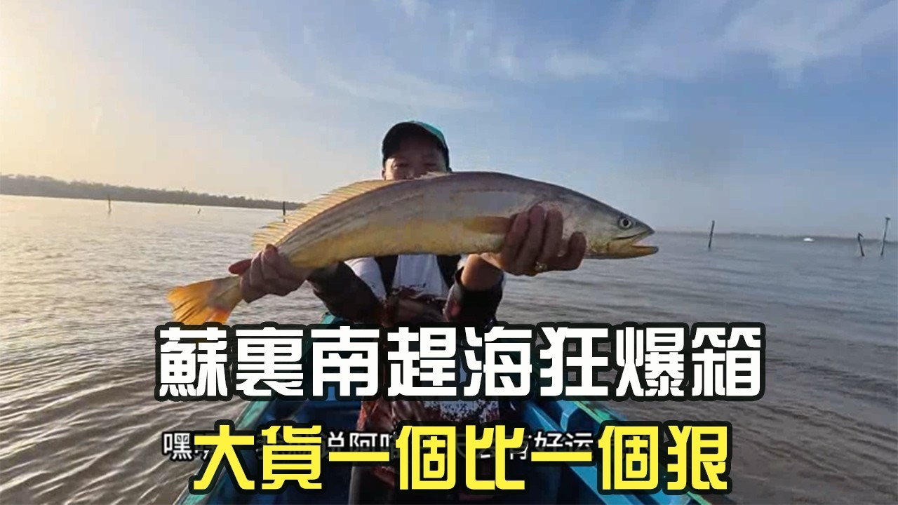 蘇裏南趕海狂爆箱，要啥有啥，大貨壹個比壹個狠#阿牛愛捕魚 #趕海 #熱門 #蘇裏南 #巨物